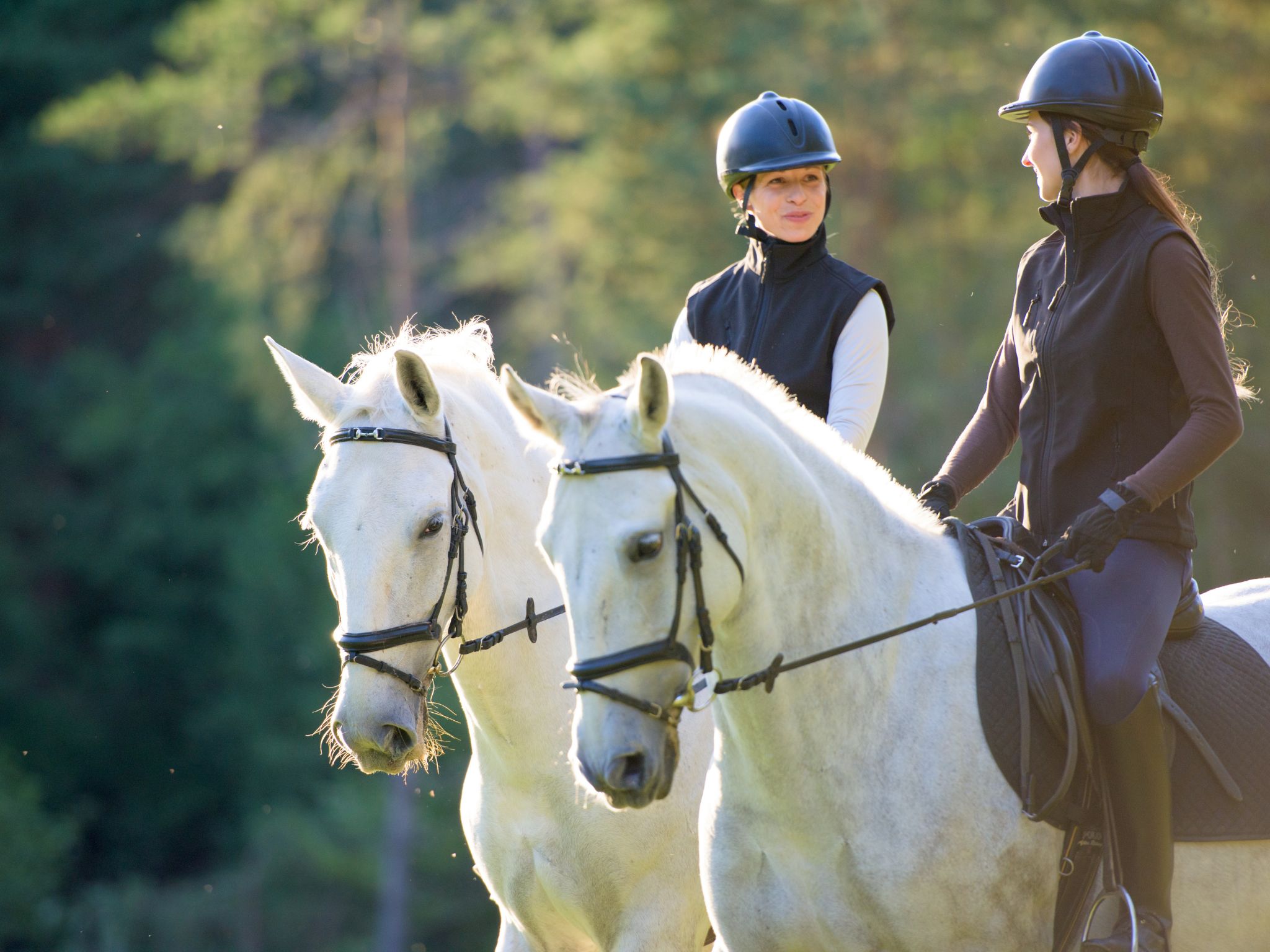 canva kinder website 41