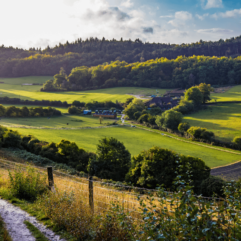 Guildford Surrey England Europe
