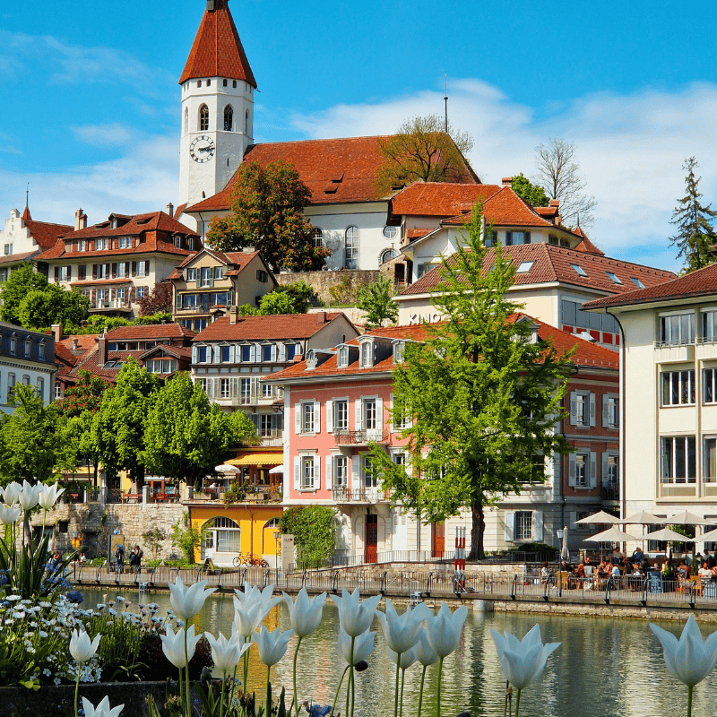 Charming Thun Switzerland Cityscape in Summer